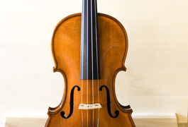 Violina - pripravljena za glasbenike