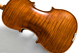 Letnice - Letnice, omogočajo ocenitev in dokaz o starosti violine